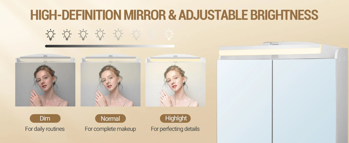 Hzuaneri Bathroom Mirror Cabinet with LED Lighting