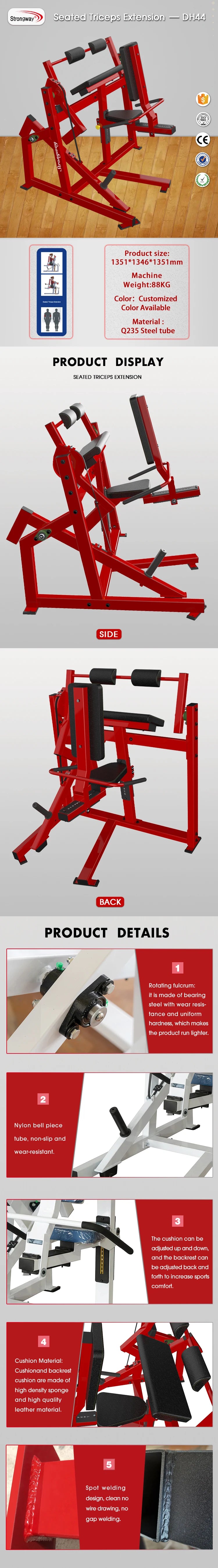 Commercial Seated Triceps Extension – Gym Strength Machine