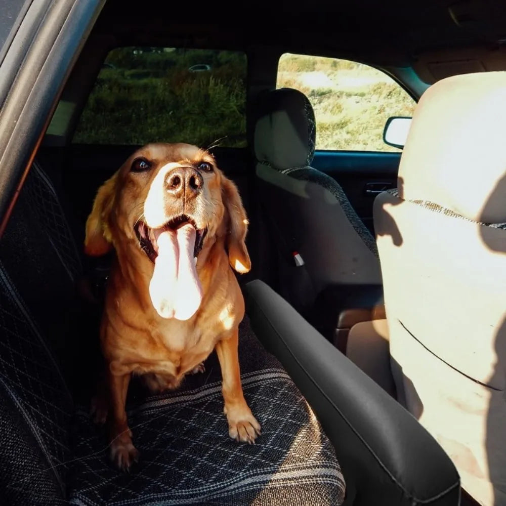 Car Inflatable Travel Bed Back Seat Air Mattress