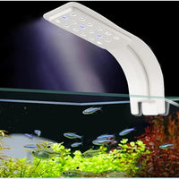 Radiant Aquarium LED Light - Clip-On White & Blue LEDs for Breathtaking Aquascape and Thriving Fish & Plant Life