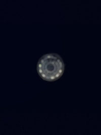 ANENG DM850 Auto Digital Multimeter AC/DC Voltage Tester