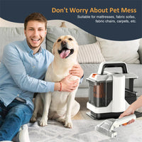 750W Handheld High Power Spot Cleaner