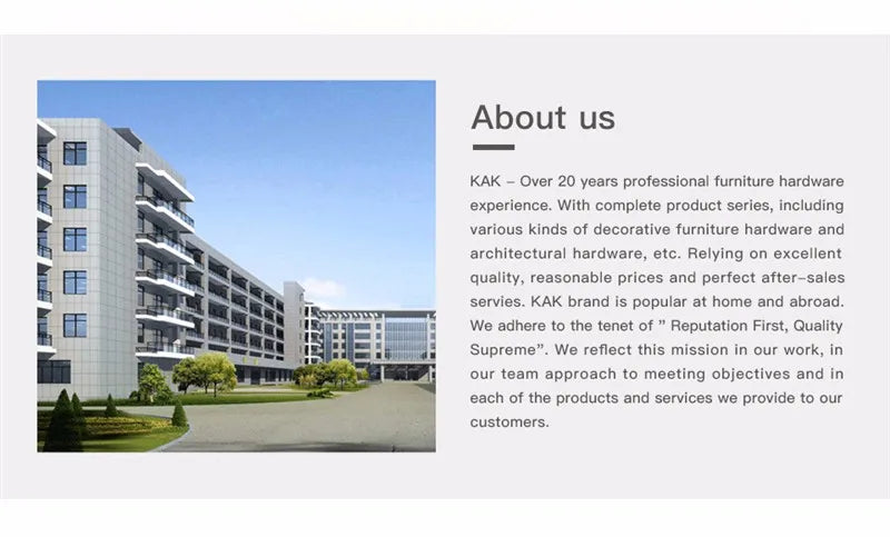 Adjustable Stainless Steel Furniture Legs with Screws