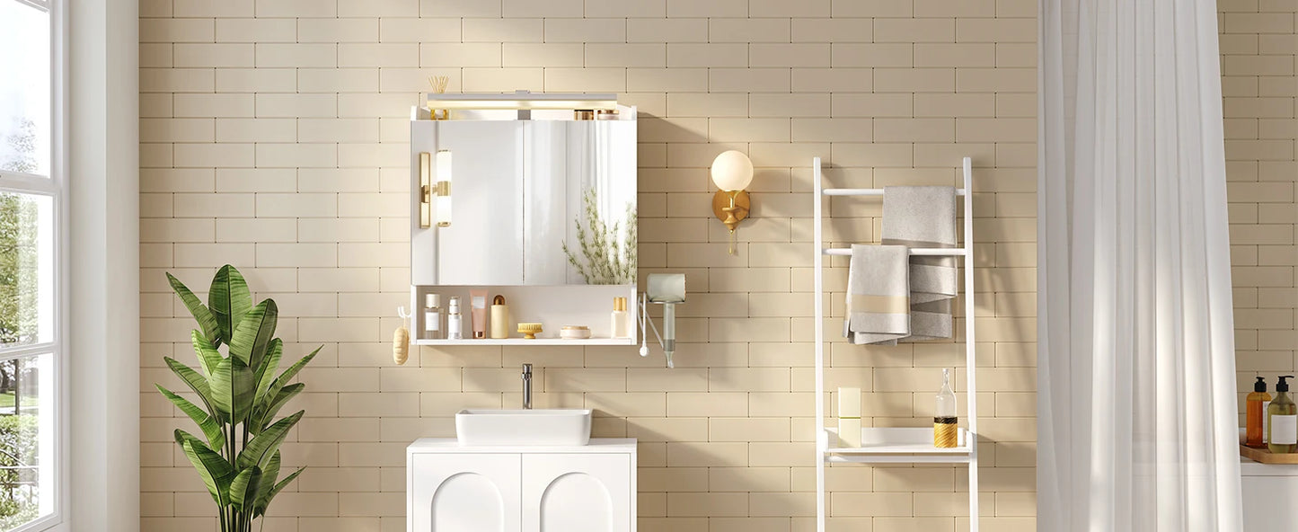 Hzuaneri Bathroom Mirror Cabinet with LED Lighting