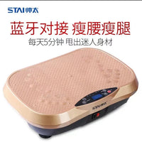 Vibration Fitness Massager Fat Shake Rhythmic Motive Fitness Equipment Home Fitness Exercise Bluetooth Music