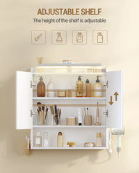 Hzuaneri Bathroom Mirror Cabinet with LED Lighting