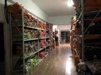 Men’s Luxury Cotton Jogger Sweatpants – Casual Trousers