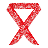 Ice Cooling Bandana Neck Wrap for Sports & Outdoors