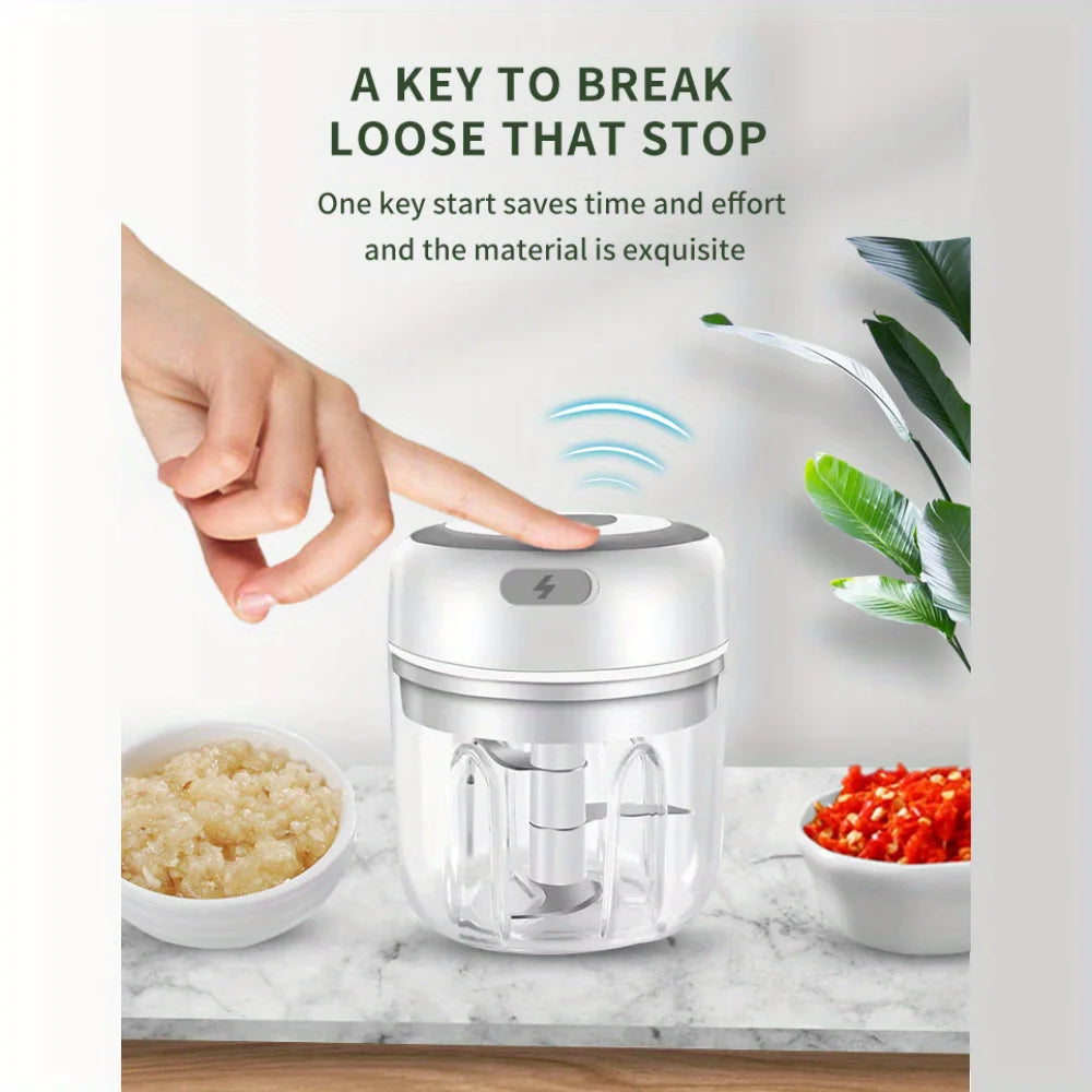 250ML USB Rechargeable Electric Vegetable Chopper and Garlic Crusher - Mini Wireless Food Chopper for Kitchen Gadgets for Garlic