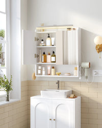 Hzuaneri Bathroom Mirror Cabinet with LED Lighting