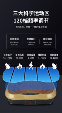 Vibration Fitness Massager Fat Shake Rhythmic Motive Fitness Equipment Home Fitness Exercise Bluetooth Music