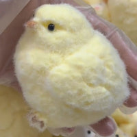 Squeeze Chick Toy Antistress Funny Life Like Chick Toy Stretchy Decompress Squeeze Toy for Office Kids Anxiety Reduce