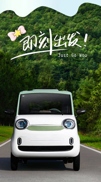 Four-Wheel Electric Vehicle with Lithium Battery for Adults
