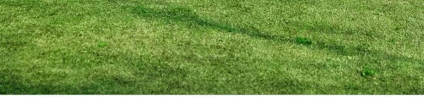 Picnic Mat, Moisture-proof Camping and Picnic Mat, Outdoor Waterproof Portable Beach Mat, Outdoor Spring Outing Mat