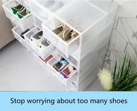 Transparent Drawer Shoe Storage Box – Ladies & Kids