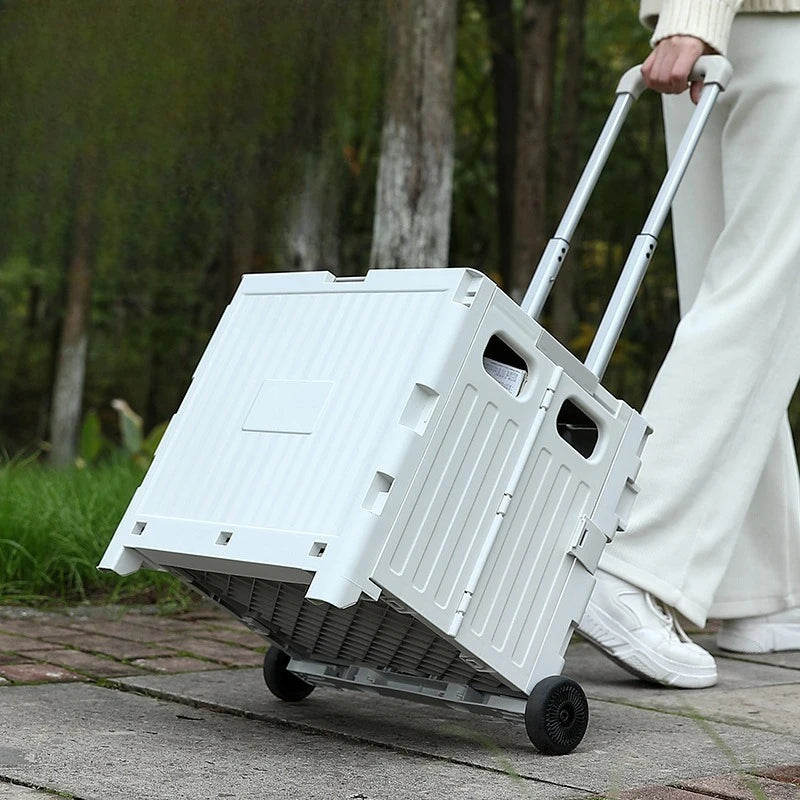 Portable Folding Camping Wagon with Large Capacity