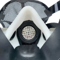 Full Face Gas Mask Respirator with Filter Protection