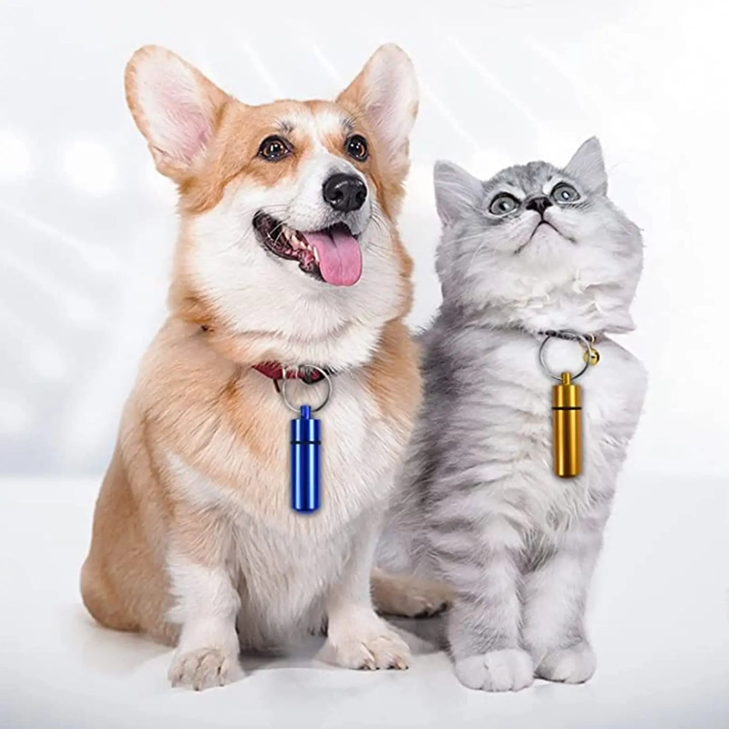 Waterproof Aluminum Pill Holder – Keychain Storage Container