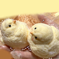 Squeeze Chick Toy Antistress Funny Life Like Chick Toy Stretchy Decompress Squeeze Toy for Office Kids Anxiety Reduce