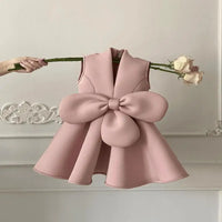 Summer Sleeveless Ball Gown Children Host Piano Performance Birthday Party Flower Girl Dresses A4080 Para Niñas Ropa Para Niña