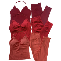 Women’s 2-Piece Fitness Set – Halter Vest & Hip-Lift Pants