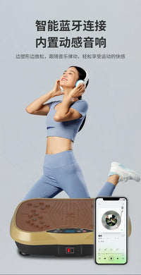 Vibration Fitness Massager Fat Shake Rhythmic Motive Fitness Equipment Home Fitness Exercise Bluetooth Music