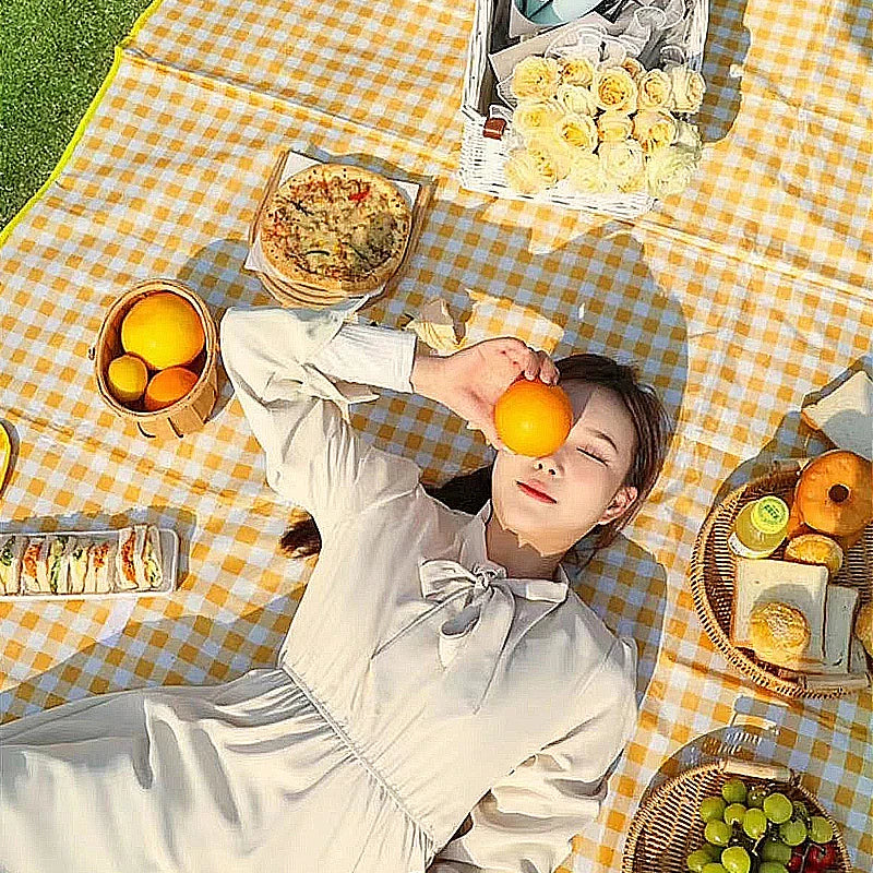 Picnic Mat, Moisture-proof Camping and Picnic Mat, Outdoor Waterproof Portable Beach Mat, Outdoor Spring Outing Mat