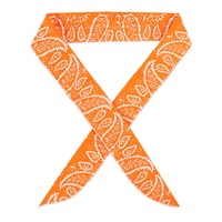 Ice Cooling Bandana Neck Wrap for Sports & Outdoors