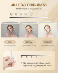 Hzuaneri Bathroom Mirror Cabinet with LED Lighting