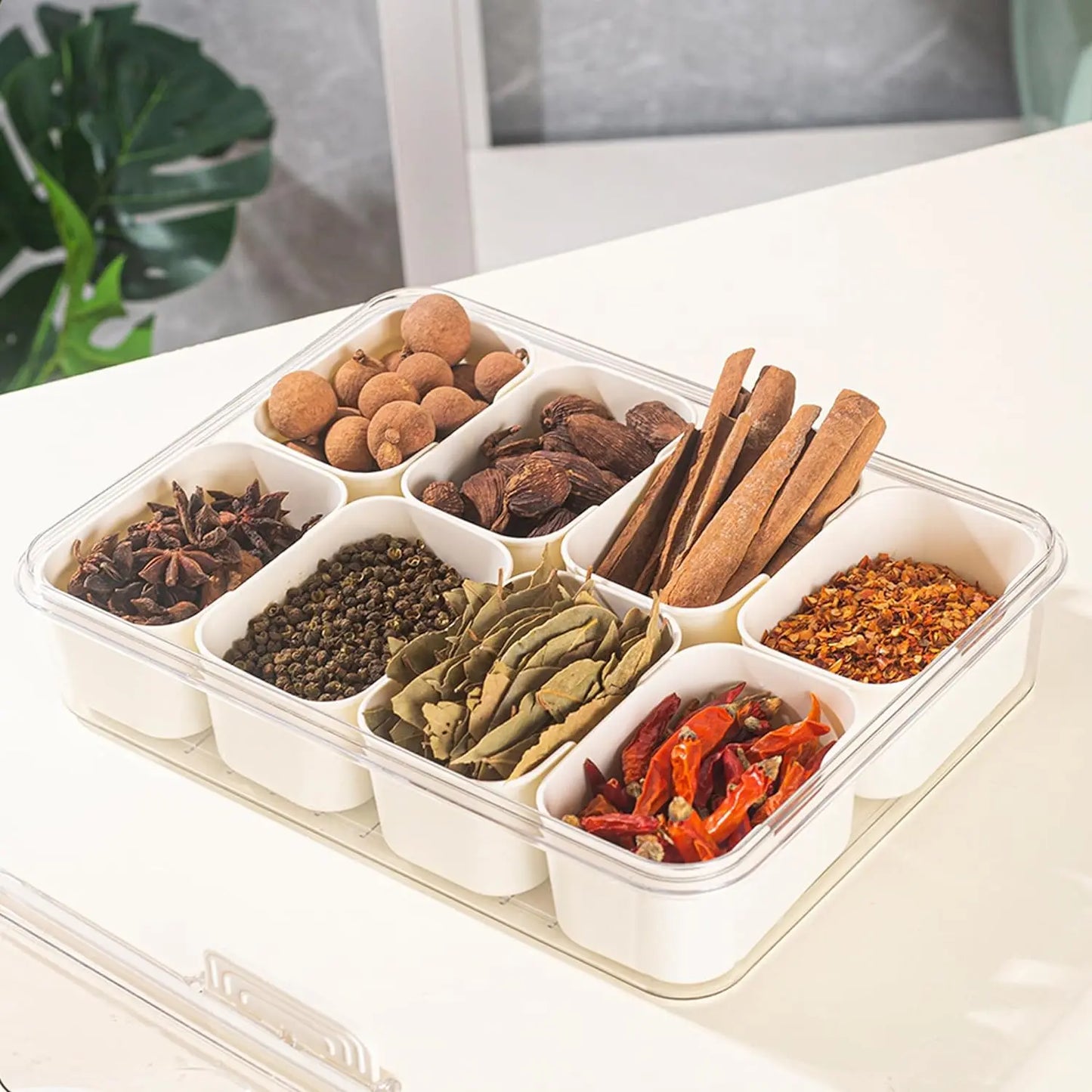 Multi-Grid Kitchen Spice Storage Box Sealed