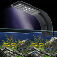 Radiant Aquarium LED Light - Clip-On White & Blue LEDs for Breathtaking Aquascape and Thriving Fish & Plant Life